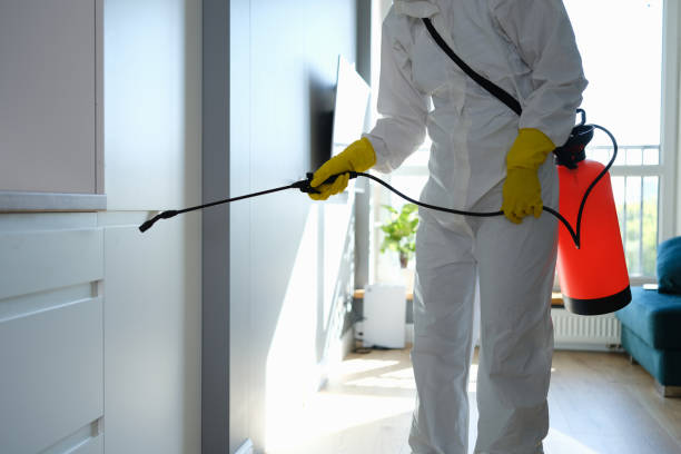 Best Commercial Mold Removal  in Vermillion, SD