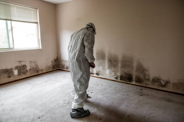 Best Crawl Space Mold Removal  in Vermillion, SD